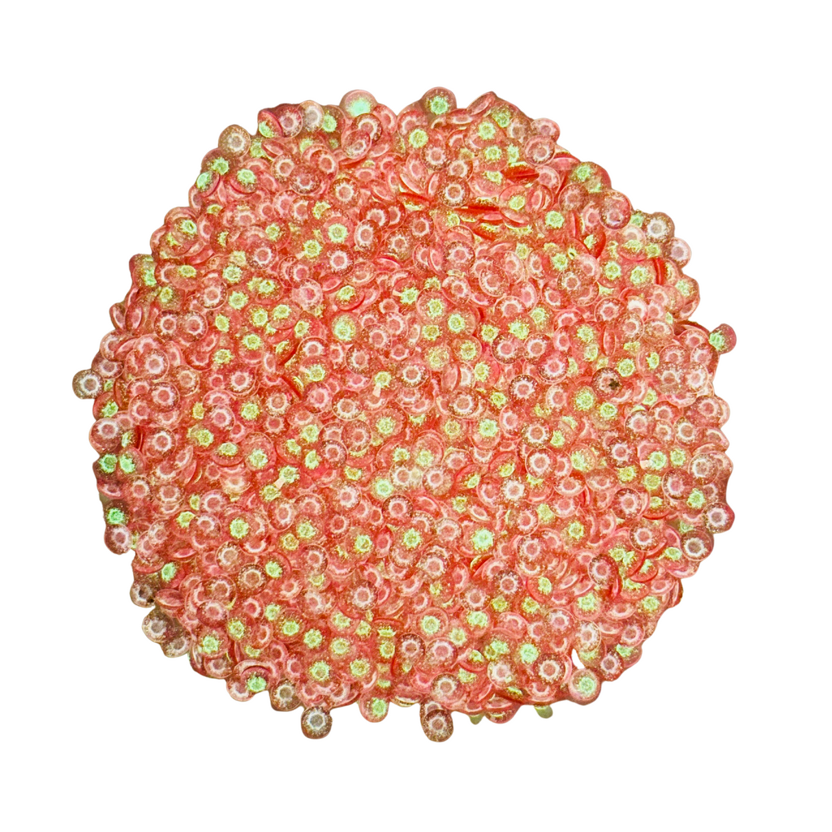 JELLY TRANSPARENT LUMINOUS ROSE - 40255