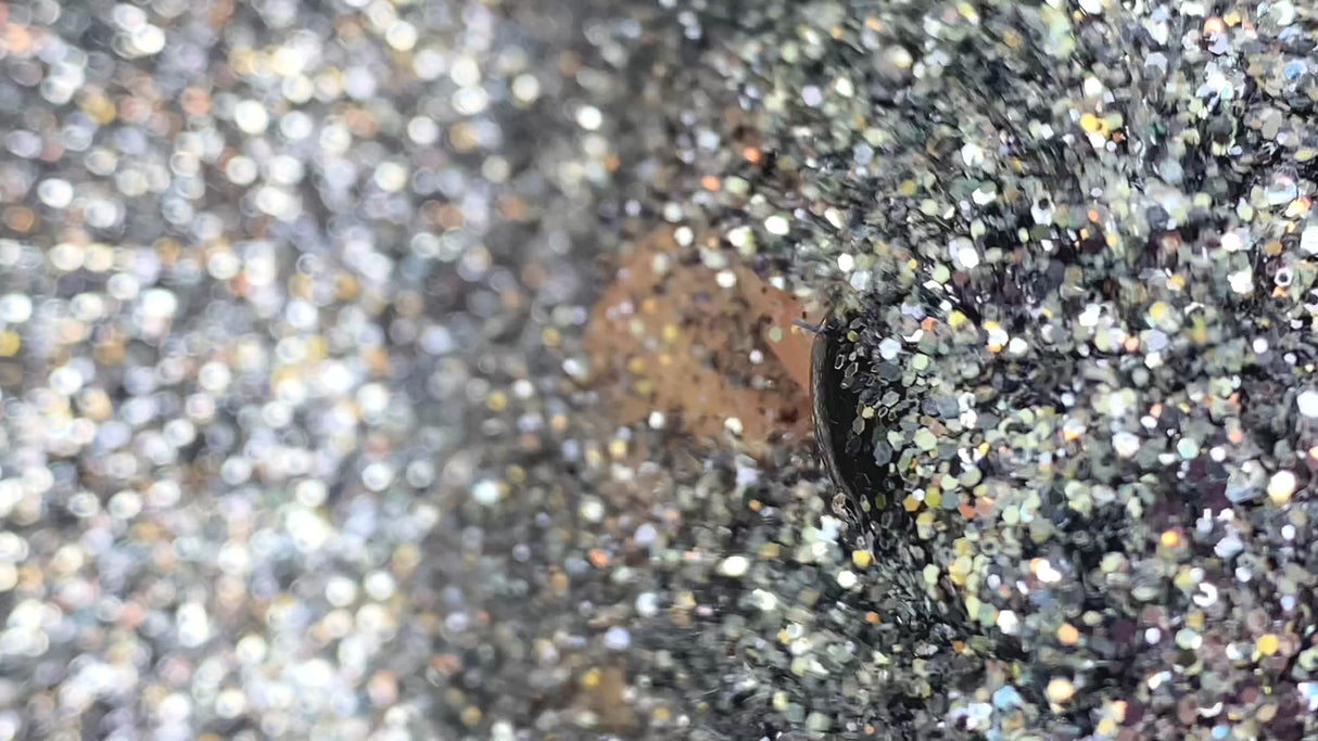 Gunmetal polyester custom glitter mix for art, body, nails and more - PDB Creative Studio