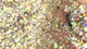 gold opal custom multi-szie glitter mix for art, body, nails and more - PDB Creative Studio